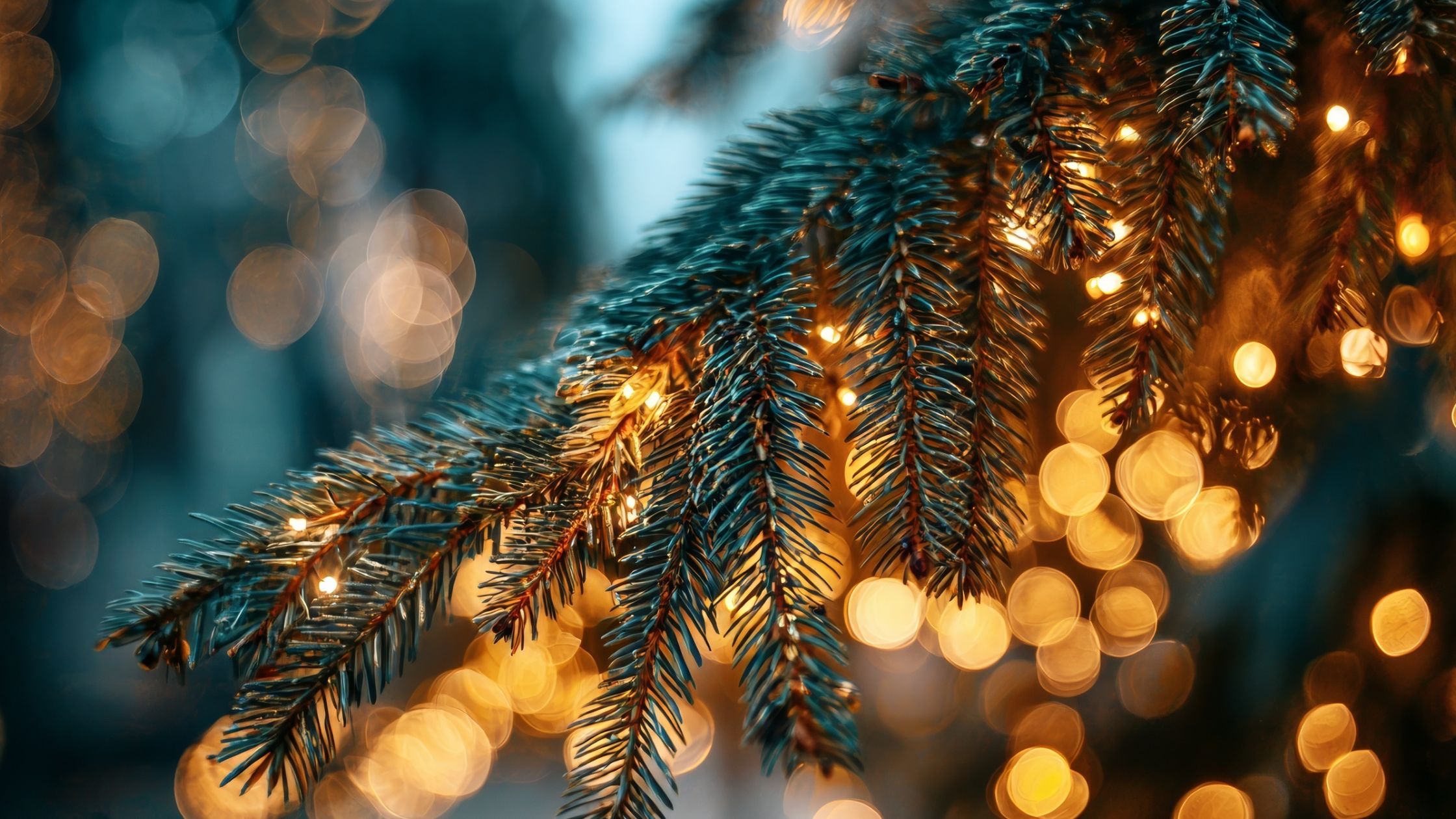 blog-clanek-family-ritouals (kopie)